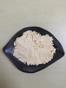 Picture of Buy Plant Based Wholesale Bulk Factory Quinoa Protein Powder Vegan Meal ...