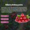 Plant Extracts Powder Bilberry Extract 25% Anthocyanins