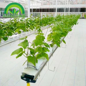 Plastic Hydroponic Cocopeat grow bags for greenhouse