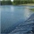 Import Plastic Waterproof HDPE Geomembrane 1mm-3mm Geomembrane for land fill from China