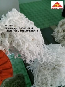 Polyester Yarn Waste  With High Quality From VietNam