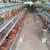 Import poultry farm in tamil nadu from China