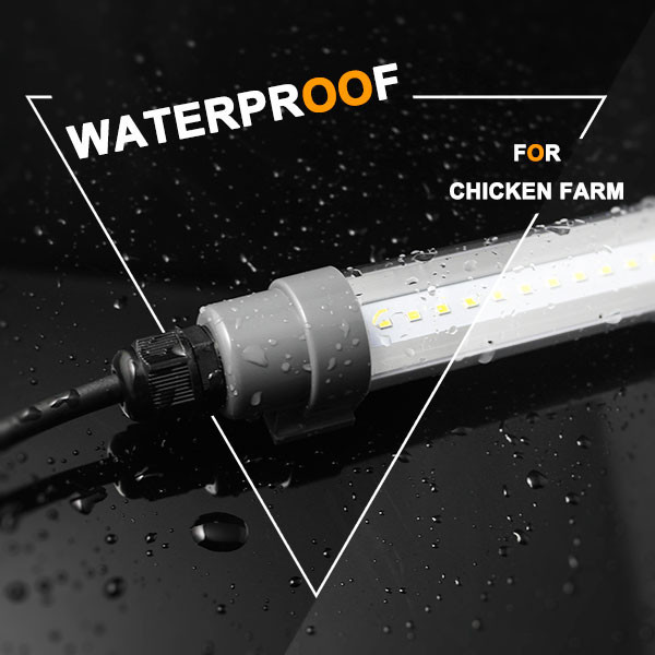 Buy Poultry Farm Lighting Chicken Farm Led Lights Coop Farm T8 T12 ...
