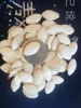 Premium grade shine skin pumpkin seeds / pumpkin kernels for Edible from Inner Mongolia China