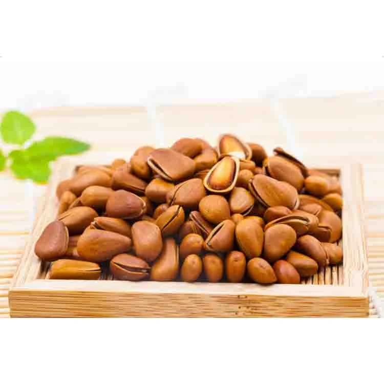 Premium Raw Chinese Pine Nuts / Organic Chinese Pine Nuts