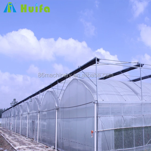 Professional design tunnel plastic film greenhouse