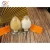 Professional Manufacturer Supply Garlic Extract Powder with Competitive Price