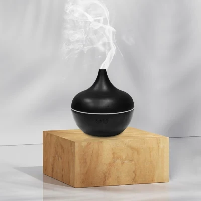 Professional Manufacturer Supplys Perfume Diffuser Modern Unique Ultrasonic Humidifier