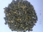 pumpkin kernels