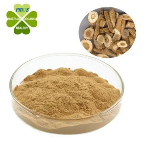 Pure, Natural & Fresh Burdock Root Extract