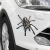 Import QY Car shape vinyl decal sticker car motorcycle accessories 3D  sticker animal bumper spider gecko scorpion Car accessories from China