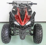 raptor 125cc atv