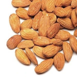 Raw Almond Nuts, Sweet Almond and Almond Kernel Price