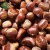 Import raw processing Chinese chestnuts for sale from China