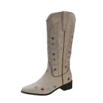 Retro Embroidered Pointed Western Cowboy Boots for Women 2024 Autumn/Winter New Large size Thick Heel Calf Boots