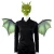 Import Roleparty Wholesale Stock Adult Dragon Mask and Wing Cosplay Costume from China