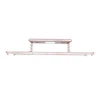 Rose Gold Remote Control Clothes Hanger Rack with Metal Hooks