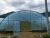 Import Sainpoly low cost agricultural greenhouse garden greenhouse multi-span plastic cover agricultural plastic film greenhouses from China