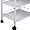 Salon Equipment Hairdressing Tools Collecting Two Shelf Spa Cart Salon Trolley