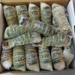 Seafood Fresh and Frozen Lobster