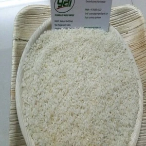 Seeraga Samba Rice Production In India