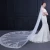 Import Shenglan 3.5 Meter Ivory Cathedral Wedding Veils Long Lace Edge Bridal Veil with Comb wedding supplies from China