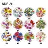 Single Jar Packing 3D Nail Art Decoration Mixed Different Dry flowers