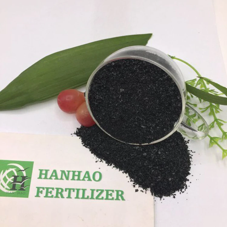 Slow Release Type humic acid organic fertilizer