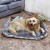 Import Soft Durable Cozy Roll-Up Dog Bed light weight Portable Travel pet bed from China