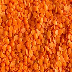 Split and Football Red Lentils