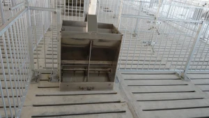 stainless steel double sided feeding trough for pig trough
