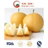 Super Quality Delicous Singo Pear/Huangguan Pear/Asia Pear Supplier