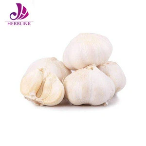 Super Sale Garlic Extract Allicin 1% Alliin 2%