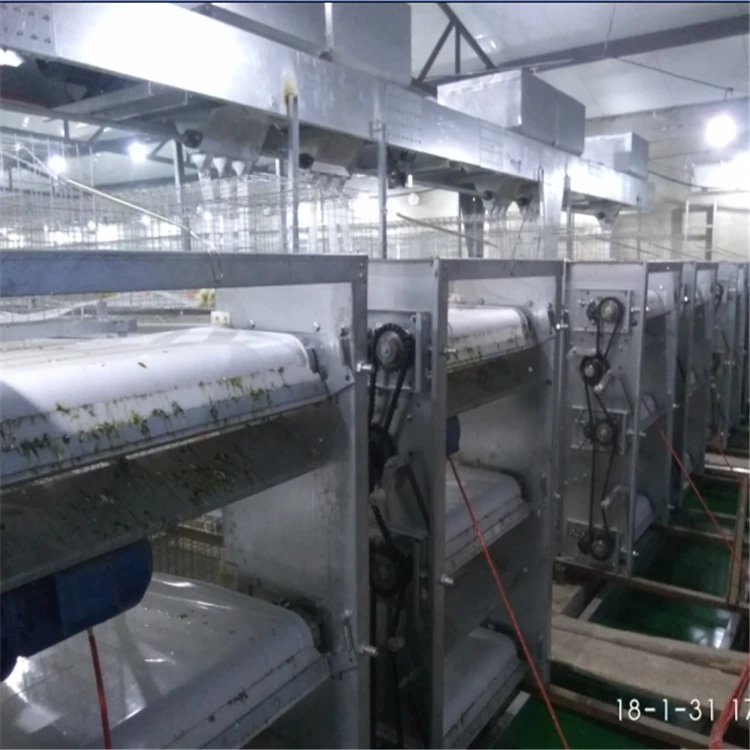 The Best Price H Type Battery Broiler Cage With Automatic Broiler Cage System