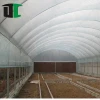 The professional factory production 200 micron vegetable and flower plastic film greenhouse with insect proof net for sale