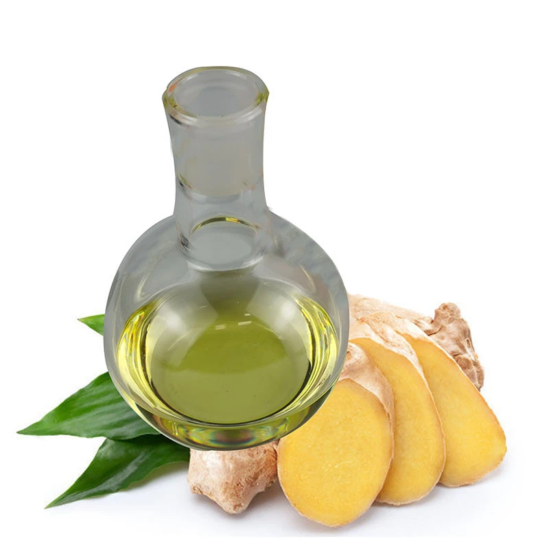Top Quality Steam Distillation Ginger Essential Oil with  Zingiberene