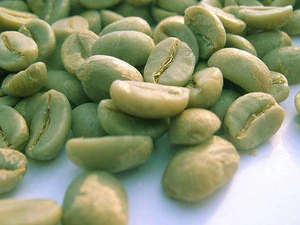 Top Quality Unroasted Arabica/Robusta Green Coffee Beans