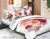 Import trade assurance 3d flannel custom duvet cover from China