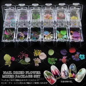 TSZS 12 color Real Dried Flower Nail Decorations Sticker Leaf Colorful Preserved Flower 3D Manicure Nail Art