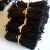 Import Vanilla Beans Wholesale from USA