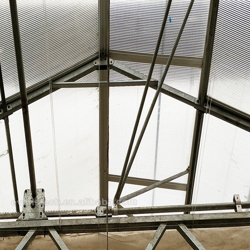 Venlo Large Multi Span Float Glass or Tempered Glass Cover Greenhouse with Automatic Roof Ventilation