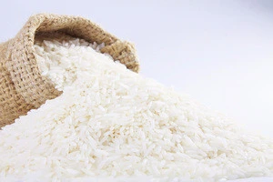 Vietnamese Jasmine White Rice (10% broken)/ jasmin rice