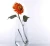 Import Vinyl Plastic Promotional Vase, PVC Flower Vase for Home Decoration from China