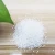 Import virgin polypropylene  plastic granule homopolymer  pp polypropylene price per kg from China