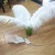 Wedding Home Party Decorative Ostrich Feather Peacock Feather