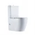 Import Western Sanitary Ware P-trap Washdown Piss Toilet Bowl Bathroom Porcelain Floor Mounted Composting Toilets with Water Tank from China