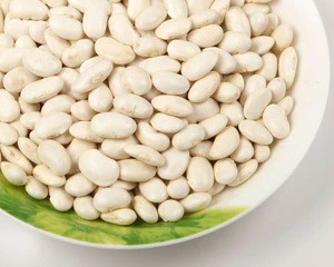 white butter bean/kidney bean