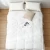Import White Goose Down Duvet Down Quilt Comforter from China