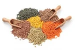 Whole Lentils / Split Lentil/ Football Lentils (Red, Green, Yellow, White and Black)