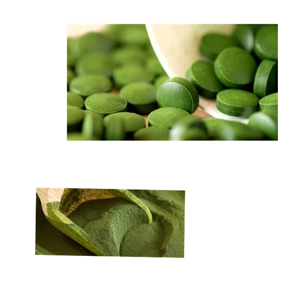 Wholesale 100% Pure Natural Chlorella Tablet Organic Anti-hypoxia  250mg 500mg